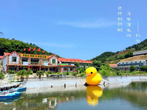 当24节气遇上南安,一段美丽的邂逅由此开始