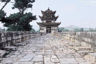 昆虫慢游滇南邹鲁 建水三天两晚自驾游一瞥