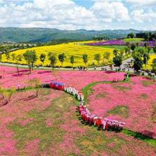 红河州春节旅游喜迎开门红，建水古城引领176万人次客流热潮